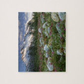 Puzzle États-Unis, Alaska, Alsek-Tatshenshini Wilderness. (Vertical)