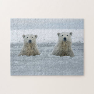 Puzzle États-Unis, Alaska, North Slope, Ours polaires