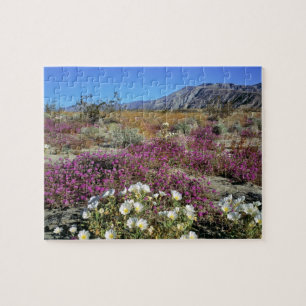 Puzzle États-Unis, Californie, Anza-Borrego DSP. Soirée s