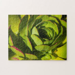 Puzzle États-Unis, Californie. Fermeture du Plante géan