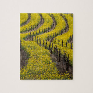 Puzzle États-Unis, Californie, Napa Valley, Los Carneros
