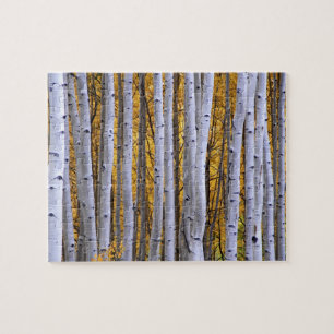 Puzzle États-Unis, Colorado, montagnes Rocheuses.  Scène 