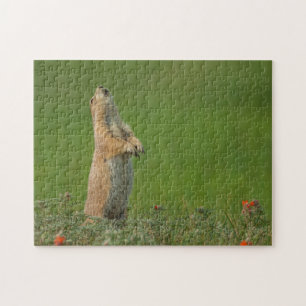 Puzzle États-Unis, Dakota du Sud, Parc d'État de Custer