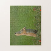 Puzzle États-Unis, Dakota du Sud, Parc d'État de Custer (Vertical)