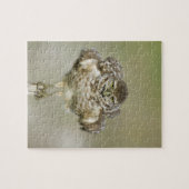 Puzzle États-Unis, Floride, Cape Coral, Gros plan de l'ex (Horizontal)