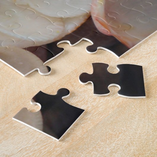 Puzzle États-Unis, Floride. Fermeture Des Coques Sur Père (Côté)