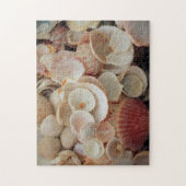 Puzzle États-Unis, Floride. Fermeture Des Coques Sur Père (Vertical)