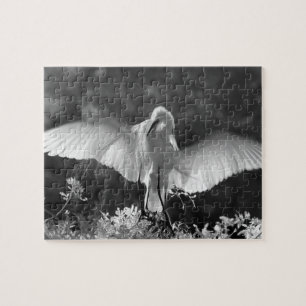 Puzzle États-Unis, Floride, Grande Aigrette (Ardea alba)