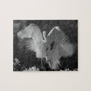 Puzzle États-Unis, Floride, Grande Aigrette (Ardea alba)