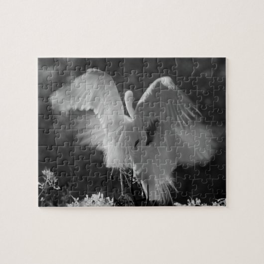 Puzzle États-Unis, Floride, Grande Aigrette (Ardea alba) (Horizontal)