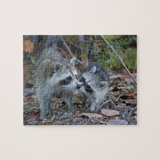 Puzzle États-Unis, Floride, Sanibel, Ding Darling Nationa (Horizontal)
