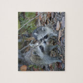 Puzzle États-Unis, Floride, Sanibel, Ding Darling Nationa (Vertical)