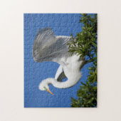 Puzzle États-Unis, Floride, St. Augustine, Aigrette (Vertical)