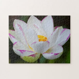 Puzzle États-Unis, Géorgie, Savannah, Fleur de lotus en f
