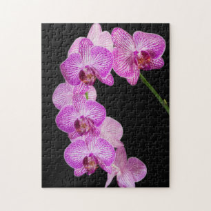 Puzzle États-Unis, Géorgie, Savannah, Groupe d'orchidées