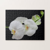 Puzzle États-Unis, Géorgie, Savannah, Piste D'Orchidées (Horizontal)