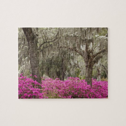 Puzzle Etats-Unis, Géorgie, Savannah, Printemps de l'hist (Horizontal)