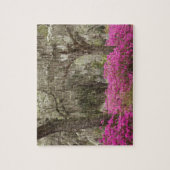 Puzzle Etats-Unis, Géorgie, Savannah, Printemps de l'hist (Vertical)