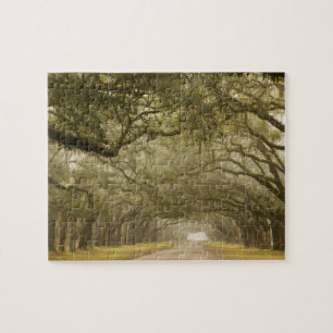 Puzzle États-Unis, Géorgie, Savannah, Une allée bordée de