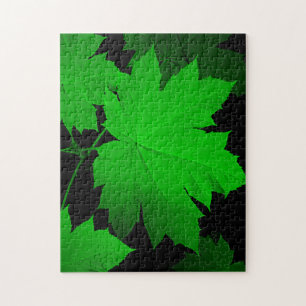 Puzzle États-Unis, Kansas, Feuilles de chêne dans la lumi