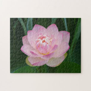 Puzzle États-Unis, Kansas, Nénuphar rose