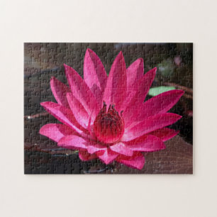 Puzzle États-Unis, Kansas, Nénuphar rouge vif