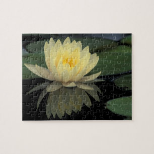 Puzzle États-Unis, Kentucky, Louisville Nénuphar domestiq