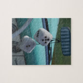 Puzzle États-Unis, Massachusetts, Gloucester. Dinde dans (Horizontal)