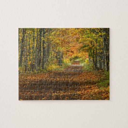 Puzzle États-Unis, Michigan, Upper Peninsula. Route vers (Horizontal)