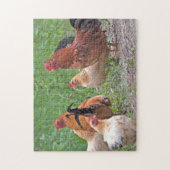 Puzzle États-Unis, Nebraska. Poules (Vertical)