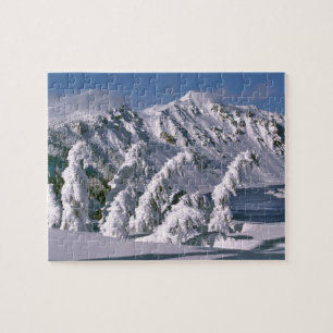 Puzzle États-Unis, Oregon, Crater Lake NP. Les arbres plo