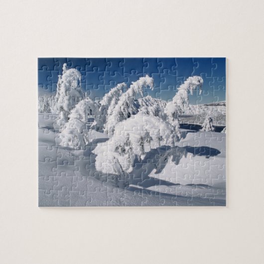 Puzzle États-Unis, Oregon, Crater Lake NP. Les arbres tom (Horizontal)