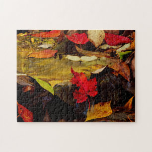 Puzzle États-Unis, Pennsylvanie, Pocono Mountains 1