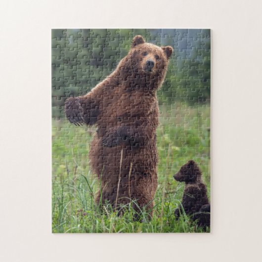 Puzzle États-Unis, sud-est de l'Alaska, ours Brown et pet (Vertical)