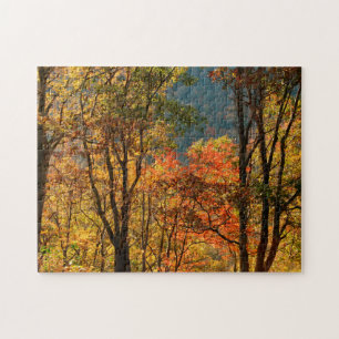 Puzzle États-Unis, Tennessee. Feuillage d'automne