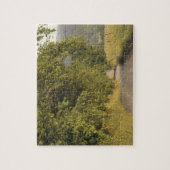 Puzzle États-Unis, Tennessee, Great Smoky Mountains Natio (Vertical)