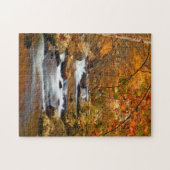 Puzzle États-Unis, Tennessee. Ruisseau Rushing Mountain (Horizontal)