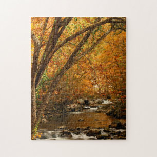 Puzzle États-Unis, Tennessee. Rushing Mountain Creek 3