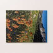 Puzzle États-Unis, Utah, Forêt nationale d'Uinta-Wasatch- (Horizontal)