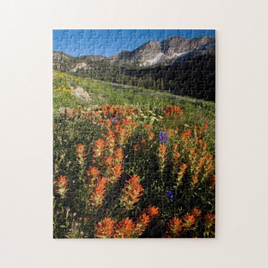 Puzzle États-Unis, Utah, Forêt nationale d'Uinta-Wasatch- (Vertical)