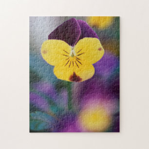 Puzzle États-Unis, Utah, Gros plan de Viola tricolor dans