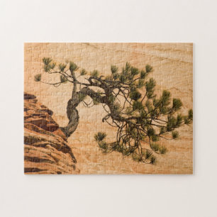Puzzle États-Unis, Utah, parc national de Zion. Pin
