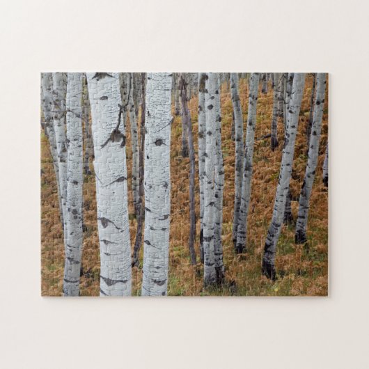 Puzzle États-Unis, Utah, Uinta-Wasatch-Cache National For (Horizontal)