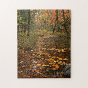Puzzle États-Unis, Virginie, Automne au parc d'État de Do