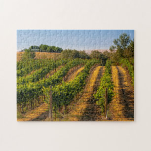 Puzzle États-Unis, Washington oriental, Vignobles de Wall