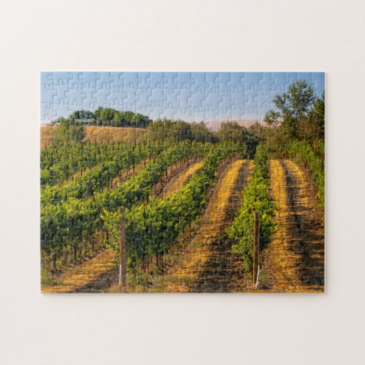 Puzzle États-Unis, Washington oriental, Vignobles de Wall (Horizontal)