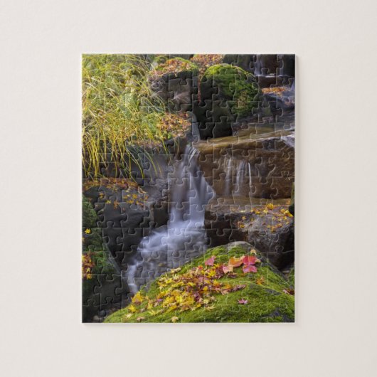 Puzzle États-Unis, Washington, Seattle (Vertical)