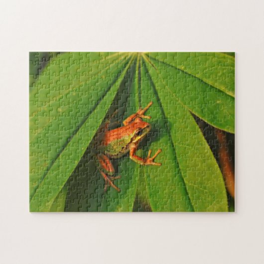 Puzzle États-Unis, Washington, Seattle, Discovery Park 2 (Horizontal)