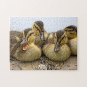 Puzzle États-Unis, Washington, Seattle, Lac Washington