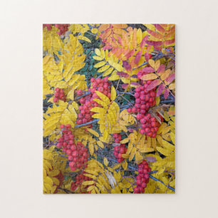 Puzzle États-Unis, Washington, Western Mountain Ash, Oka